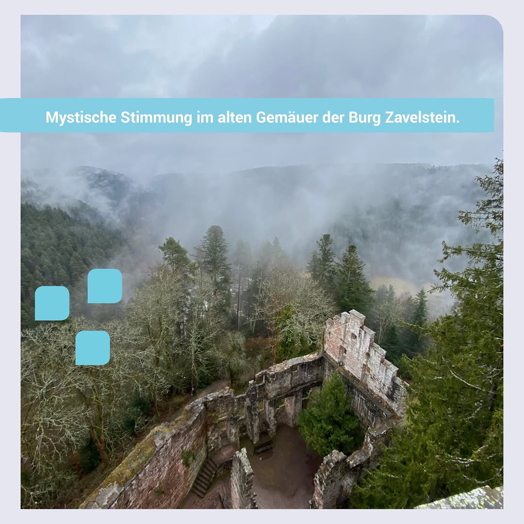 Gemeinsame Ausflüge mit unseren Klient*innen sind ein wichtiger und wertvoller&hellip;