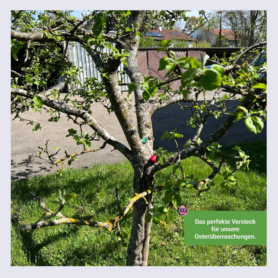 Wir hatten so viel Glück . Nicht nur, dass wir mit unseren Bewohner*innen und&hellip;