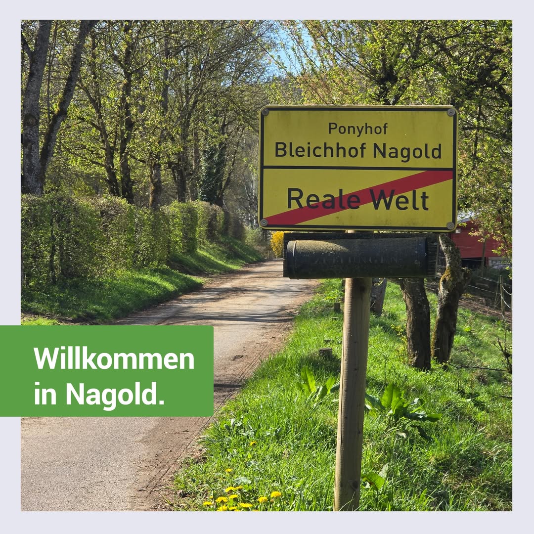 Alle zwei Wochen fahren wir mit einigen Klient*innen auf den Bleichhof in&hellip;