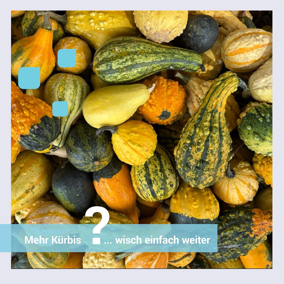 Ausflug ins Blühende Barock Ludwigsburg . Bei bestem Wetter haben wir mit&hellip;