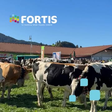 Los ging’s dieses Mal wirklich früh – um 6:30 Uhr starteten wir in Herrenberg!&hellip;