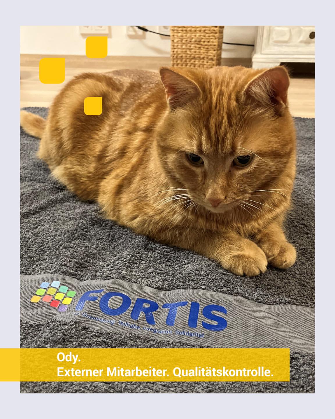 Ody. Externer Mitarbeiter. Qualitätskontrolle. 

Manche beobachten&hellip;