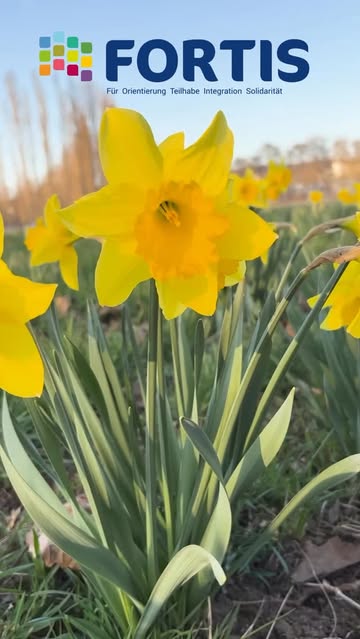 Osterstimmung im AWS und in der Martinshöhe Böblingen 

Gemeinsam mit&hellip;