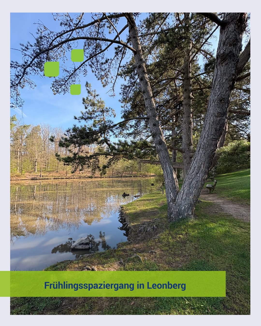 Ein Spaziergang kann so viel mehr sein als „nur“ ein Spaziergang . Das zeigt&hellip;