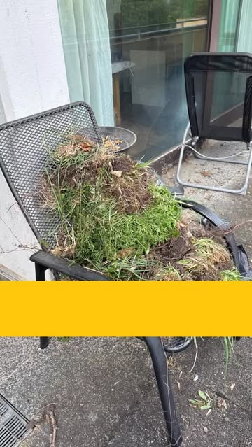 Gartenarbeit ist echte Teamarbeit ☀️

Jedes Jahr aufs Neue freuen wir uns&hellip;